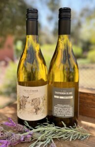 2022 Sauv Blanc WOTM
